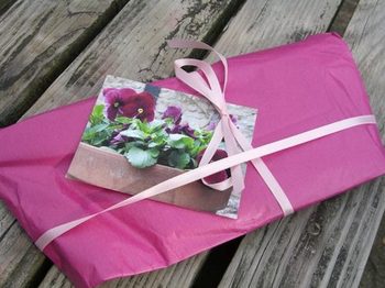 Pretty_wrapping_nice_parcel_2nd_par Pretty_wrapping_nice_parcel_2nd_par