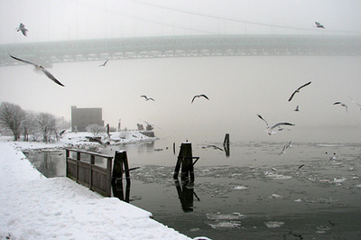 Smosch_wintry_beauty_2