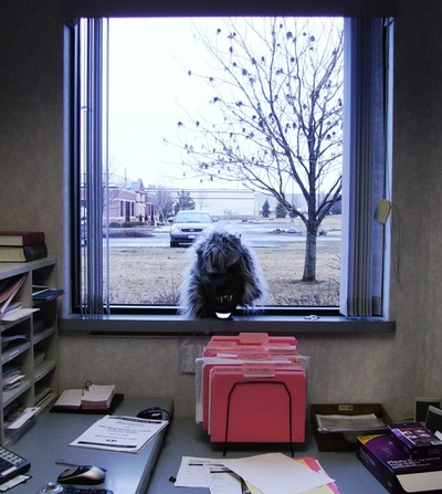 New_office_mate_040408