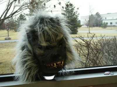 New_office_mate_2_040408