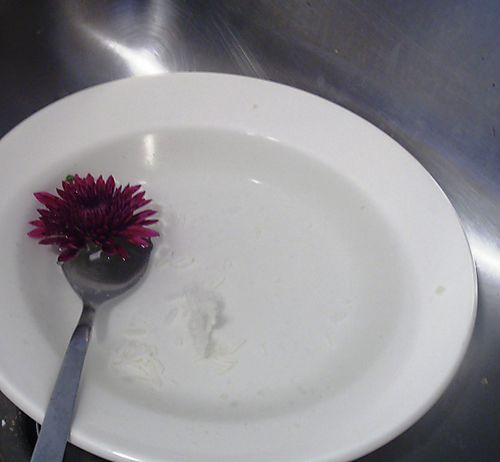 Flower + bowl in sink Flower + bowl in sink