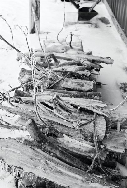 WINTER - by john williams WINTER - by john williams