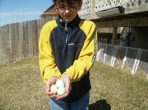 Taylor + easter eggs