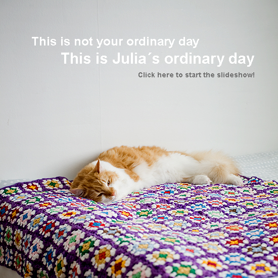 Julias ordinary day 1