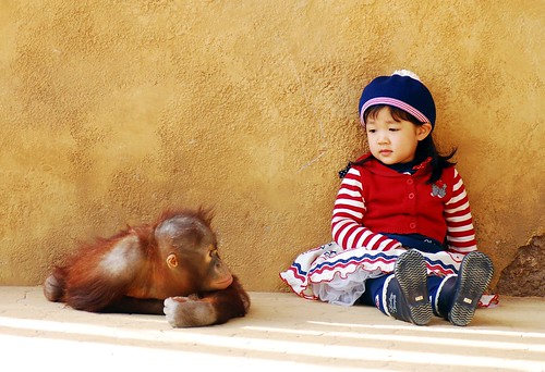 Everland orangutan & cute girl by floridapfe.