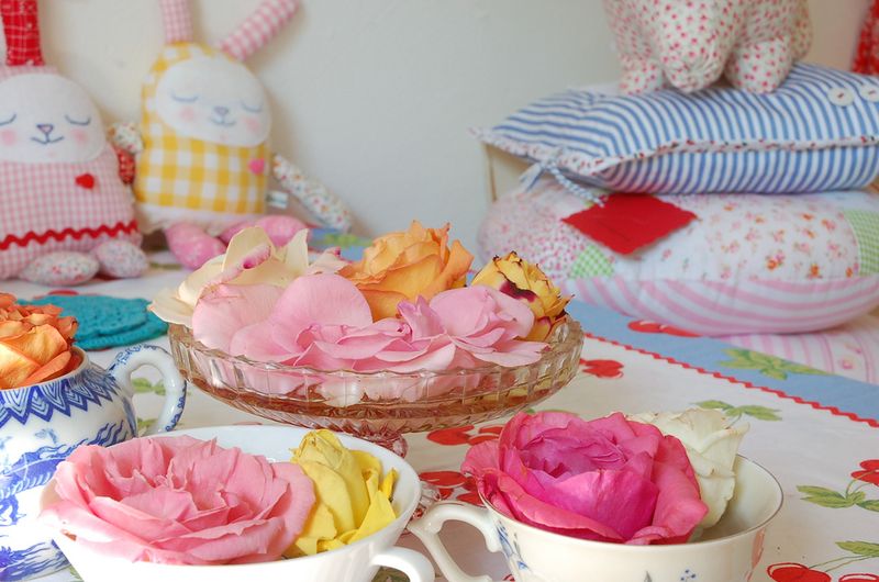 Jasna janekovic - flickr 18