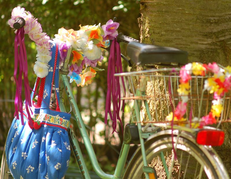 Jasna janekovic - flickr 5