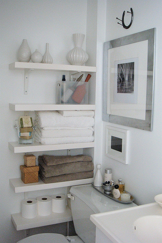 Bathroom organization - laura cattano