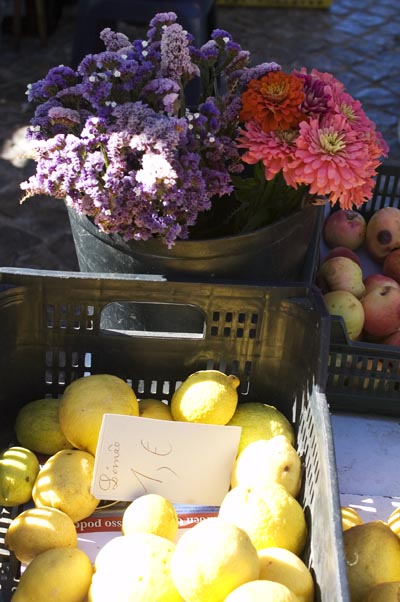 Pure mod life - home 5