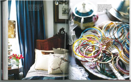 AT Book - a brown and blue bedroom