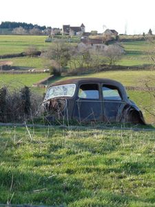 Marion - countryside - car
