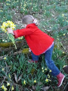 Marion - daughter - picking flowers