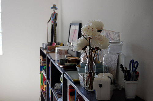 Peonies by rachel of heart of light