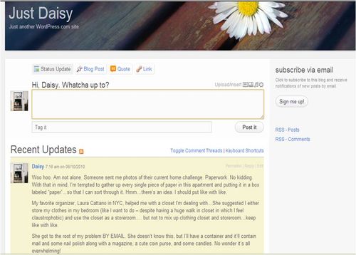Screenshot - just daisy