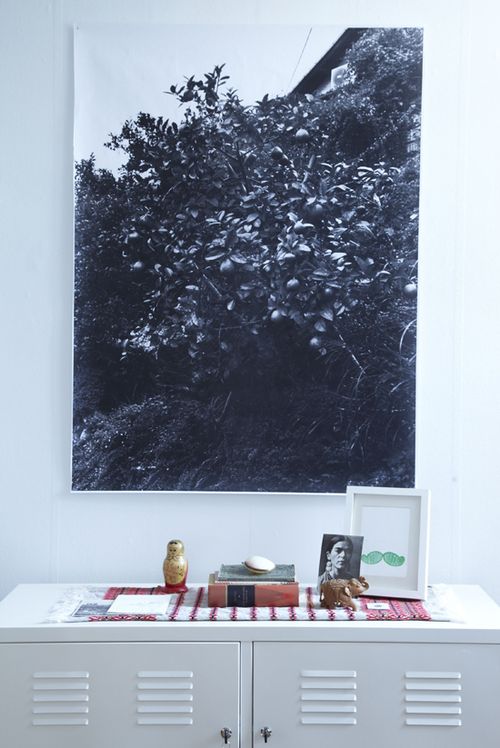 Scout and catalogue - home 1