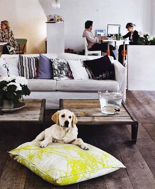 French by design - zoe parisian home 8