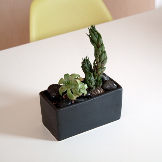 Lola-and-Eric - AT renest  06-01-11  17