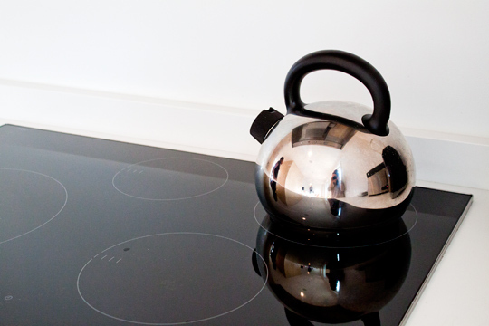 Lola-and-Eric - AT renest  06-01-11  17