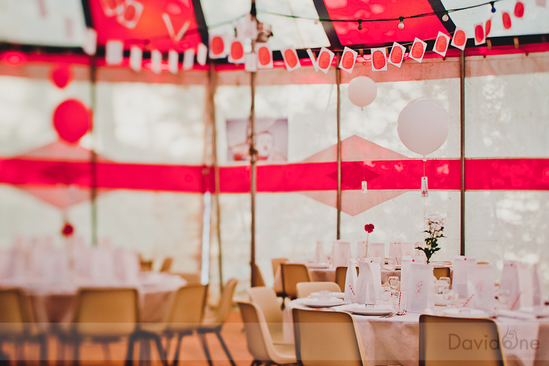 Le-Mariage-de-Pierre-et-Christine-par-le-photographe-Davidone-429-sur-551