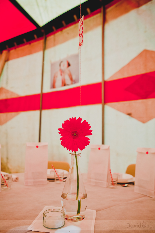 Le-Mariage-de-Pierre-et-Christine-par-le-photographe-Davidone-429-sur-551