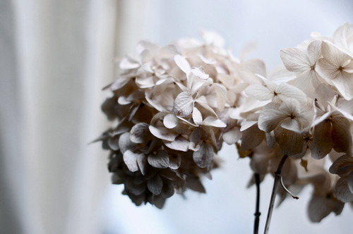 image from media.tumblr.com