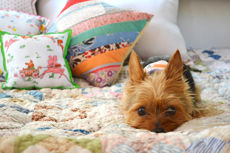 image from abeautifulmess.typepad.com